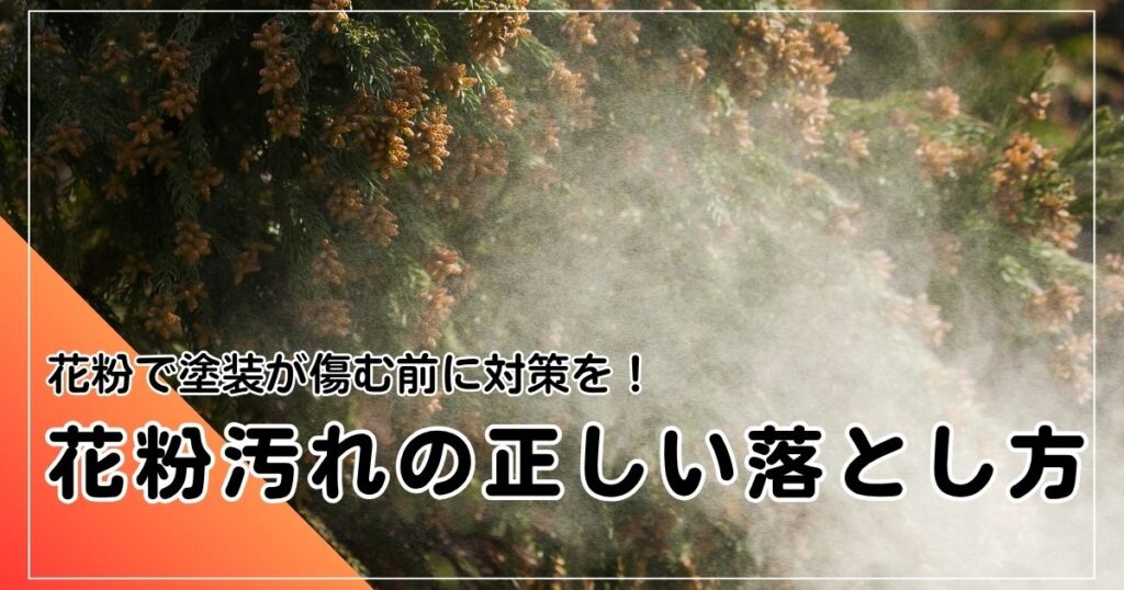 車の花粉汚れを落とす