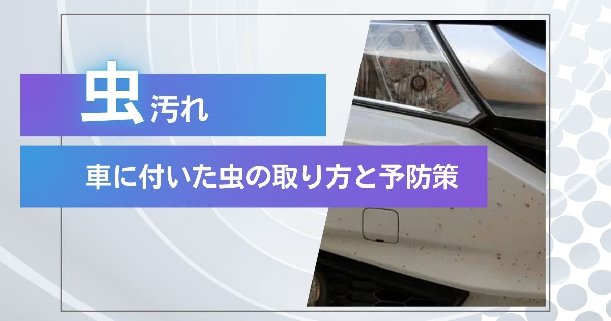 車の虫汚れ